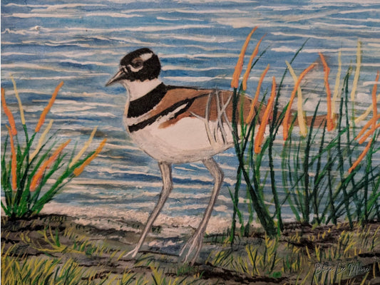 Digital Print - Hand Painted Offshore Bird
